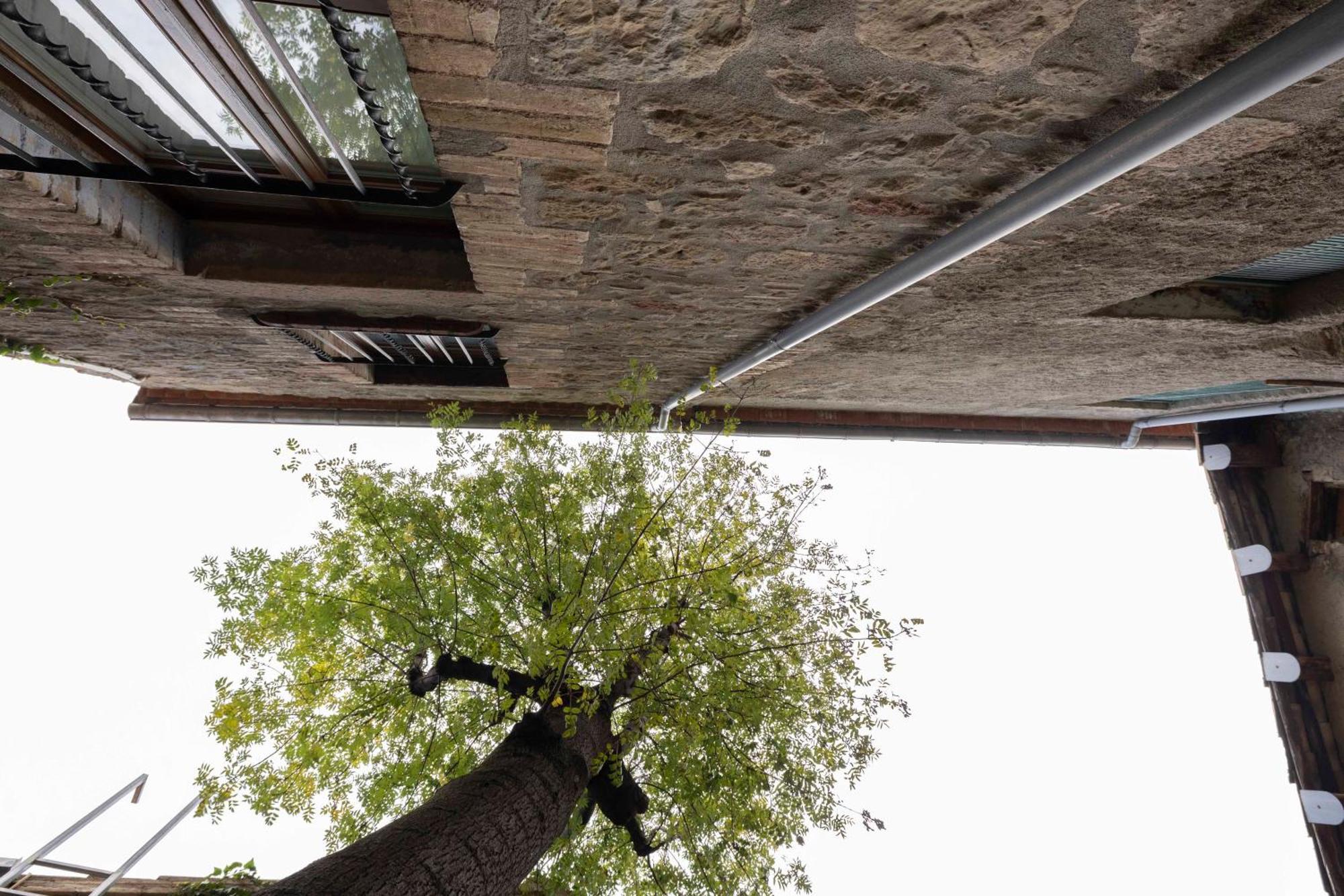 Hotel La Freixera Solsona Luaran gambar